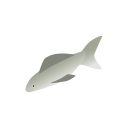 peixe 