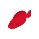 blogue 