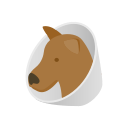 perro icon