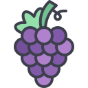 uvas icon