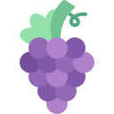 uvas icon