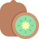 kiwi icon