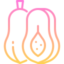 papaya icon