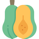 papaya icon