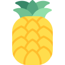 piña icon