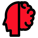 cerebro icon