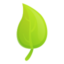 꽃 