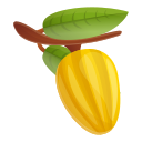 fruta icon