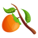 fruta icon