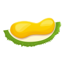 fruta icon