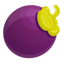 Fruit icon