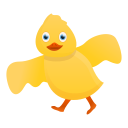 voar 