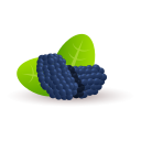 fruta icon