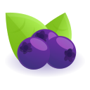 fruta icon