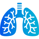 pulmones