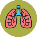 pulmones icon