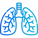 pulmones