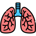 pulmones icon