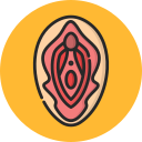 vagina icon