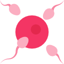 inseminación icon