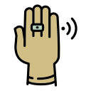 anillo icon