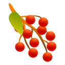 flora icon