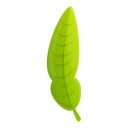 feuille 