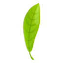 feuille 