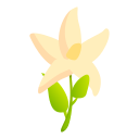 fleur 