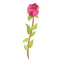 plantar 