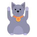 gato 