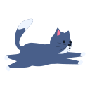 gato icon