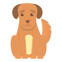 perro icon