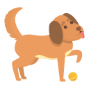 perro icon