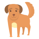 perro icon