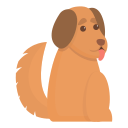 perro icon