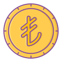 moneda icon