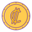 moneda icon