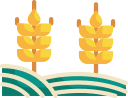 weizen 