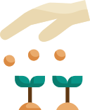 정원 