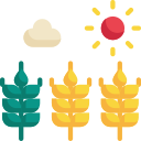 agricultura 
