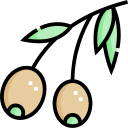 aceitunas icon