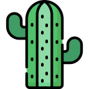 cactus icon