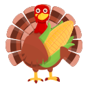 pavo icon