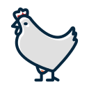 pollo