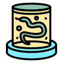 bacterias icon