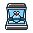 caja del anillo icon