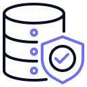 seguridad de datos icon