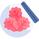 kimchi icon