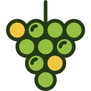 uvas icon